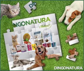 sorteo-dingonatura-dingopuzzle