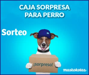 sorteo-maskokotas-caja-sorpresa-para-perro