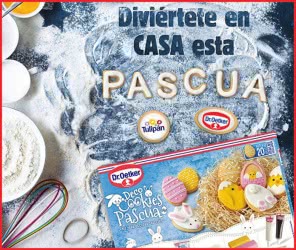 sorteo-tulipan-droetker