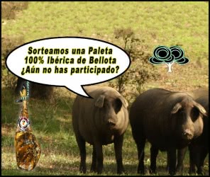sorteo-paleta-iberica-sabordex
