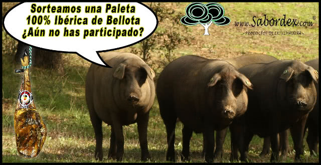 sorteo-paletilla-iberica-sabordex
