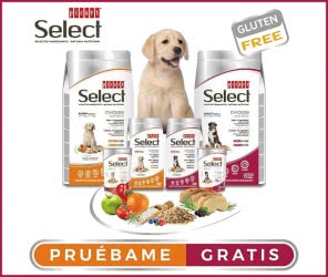 sorteo-piensos-mascota-picart