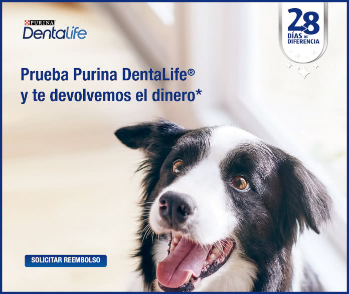 Reembolso Purina Dentalife 28 Dias