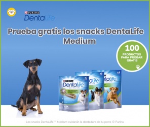 Wamiz Sortea 100 Snacks Dentalife