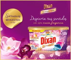 Dixan Sortea 310 Muestras