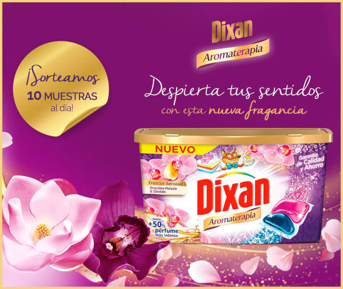 Dixan Sortea 310 Muestras