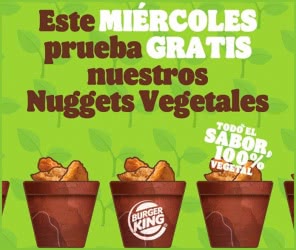 Miercoles Nuggets Vegetales Gratis