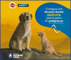 Pedigree Dentastix Revisión Dental Gratuita