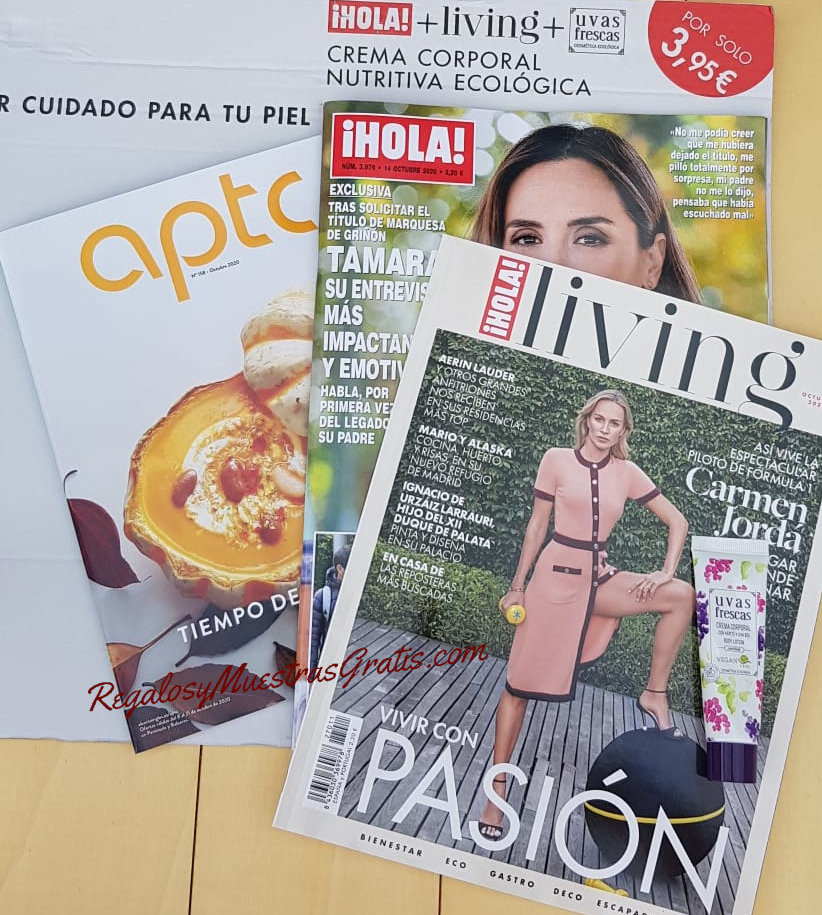 Regalos Revistas Octubre 2020 Hola Living Semana 41