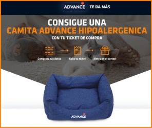 Advance Sorteo Por Compra Camita Hipoalergénica