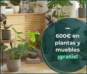 Colvin Jungle Sorteo 600 Euros
