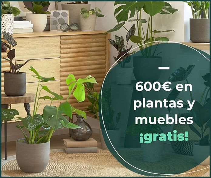 Colvin Jungle Sorteo 600 Euros
