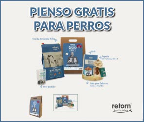 Pienso Gratis Para Perros