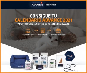 Advance Regalo Calendarios Por Compra Y Sorteo
