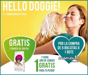 Dingonatura Sorteo 5 Premios Anuales