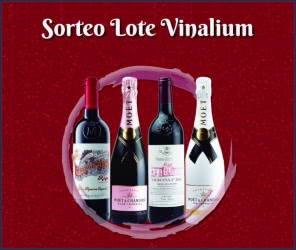 Sorteo Lote Vinalium