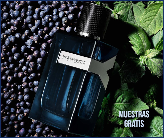 Muestras Gratis Ysl Y Edp Intense 2
