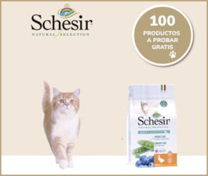 Schesir 100 Testers