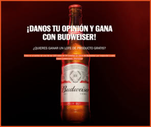 100 Lotes Budweiser Por Encuesta