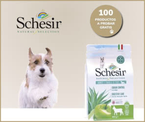 Schesir 100 Testers Comida Perro