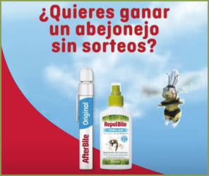 500 Abejonejos Regalo Sin Sorteo