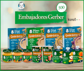Kuvut Busca 500 Embajadores Gerber