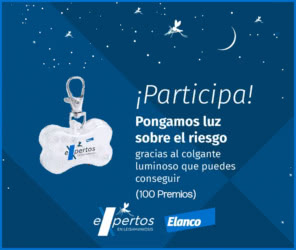 Mimascotayyo Sorteo 100 Collares Contra Leishmaniosis
