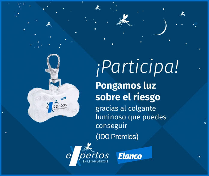 Mimascotayyo Sorteo 100 Collares Contra Leishmaniosis