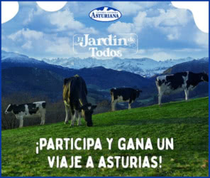 Sorteo Central Lechera Asturiana Viajes Asturias