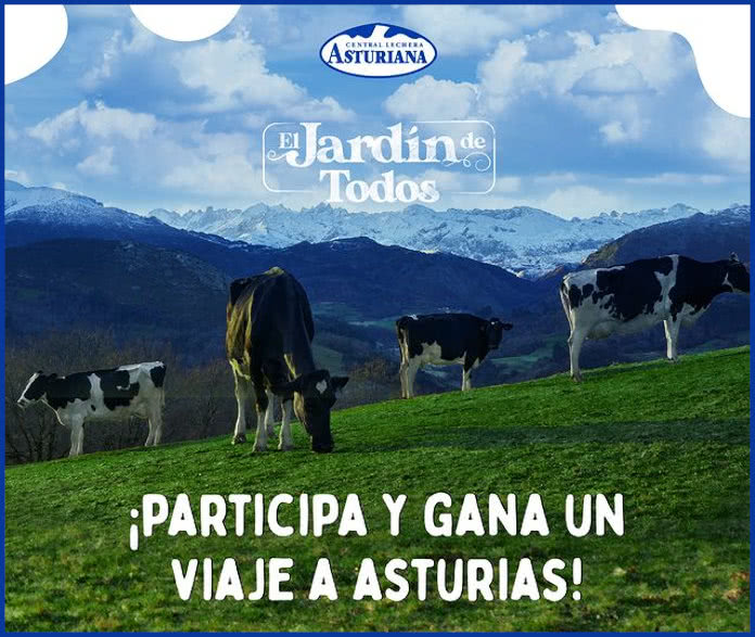 Sorteo Central Lechera Asturiana Viajes Asturias
