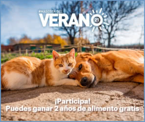 Sorteo Royal Canin Dos Anualidades Producto Gratis