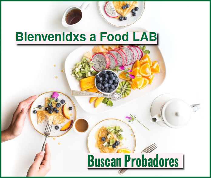 Testers Dacsa My Food Lab Probadores