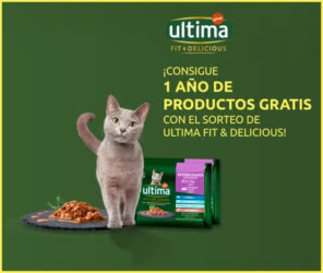 Sorteo Ultima Premio Anual Comida Gato