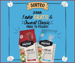 Sorteo Ownat Lote Para 1 año