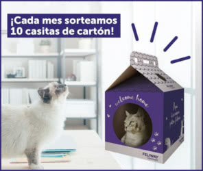 Sorteo Feliway 10 Casitas Gato Mes
