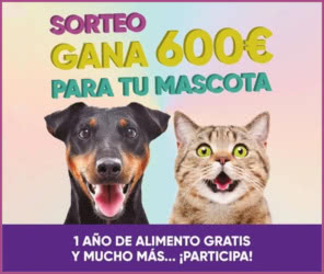 Sorteo Pets4good 600 Euros