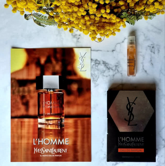 Muestras Recibidas Ysl Lhomme