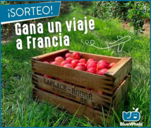 Sorteo Bluewhale Viaje Francia