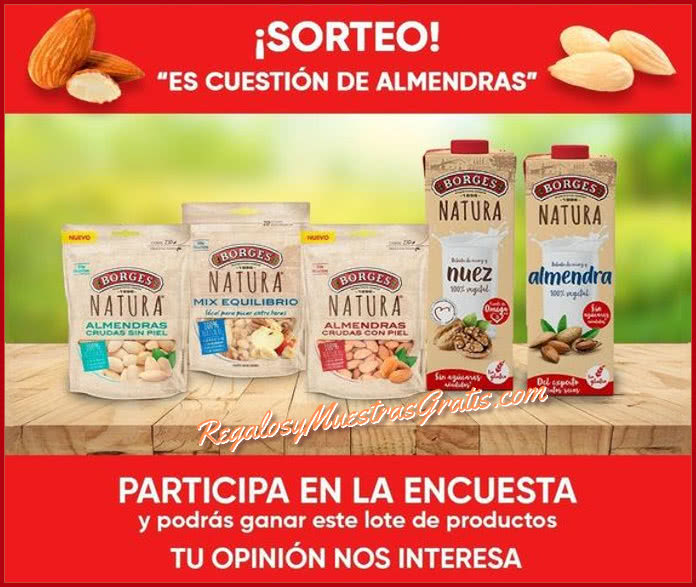 Sorteo Borges Encuesta Lotes