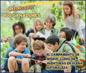 Sorteo Por Compra Weikis 100 Ganadores Campamentos Kits