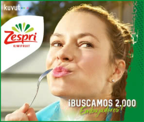 Tester Kuvut Zespri 2000 Embajadores