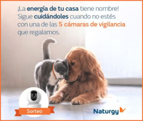 Sorteo Naturgy 5 Cámaras Vigilancia