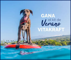 Sorteo Vitakraft Comedero Lote Perro Gato