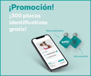 Gratis Kolyy 300 Placas Gratis