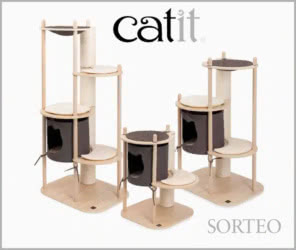 Sorteo Catit 3 Vesper Treehouse