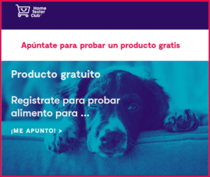 Tester Hometesterclub Hills Perro