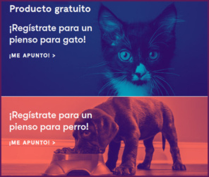 Tester Hometesterclub Piensos Hills Gatos Perros
