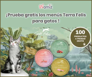 Tester Wamiz 100 Productos Gratis Terra Felis
