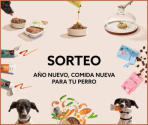Sorteo Barkyn 5 Lotes