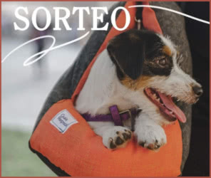 Sorteo Guia Repsol 15 Transportines Bebederos Mascota